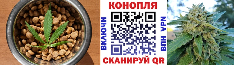 Купить закладки Отрадная Cannafood марихуана