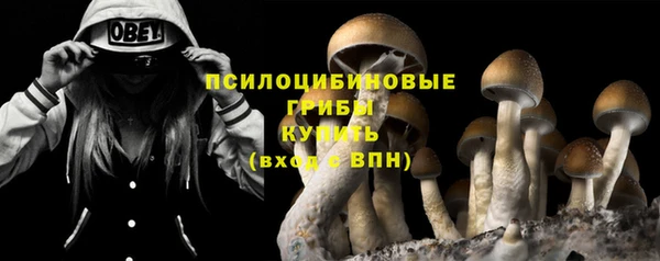 тгк Зеленокумск