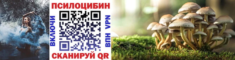 Купить  Отрадная  Псилоцибиновые грибы Magic Shrooms 